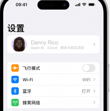 文教镇appleID维修服务iPhone设置中Apple ID显示为灰色无法使用