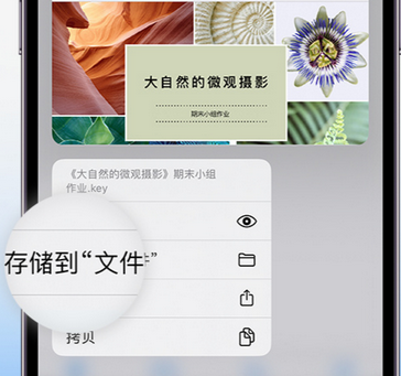 文教镇apple维修中心分享iPhone文件应用中存储和找到下载文件