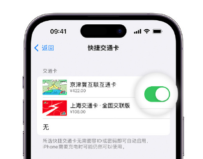 文教镇apple维修点分享iPhone上更换Apple Pay快捷交通卡手绘卡面 