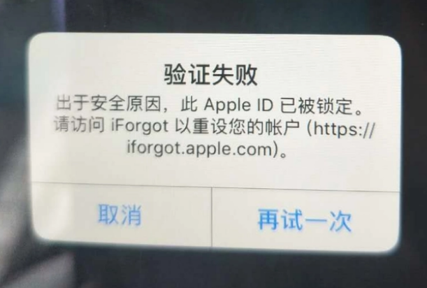 文教镇iPhone维修分享iPhone上正常登录或使用AppleID怎么办 