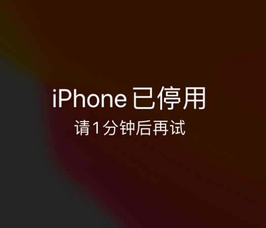 文教镇苹果手机维修分享:iPhone 显示“不可用”或“已停用”怎么办？还能保留数据吗？ 