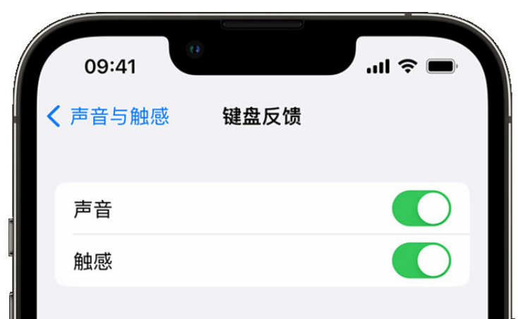 文教镇苹果手机维修分享iPhone 14触感键盘使用方法 