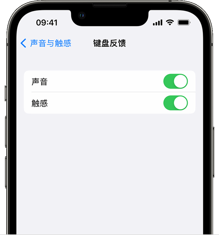 文教镇苹果14维修店分享如何在 iPhone 14 机型中使用触感键盘 