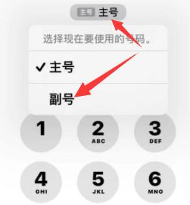 文教镇苹果14维修店分享iPhone 14 Pro Max使用副卡打电话的方法 