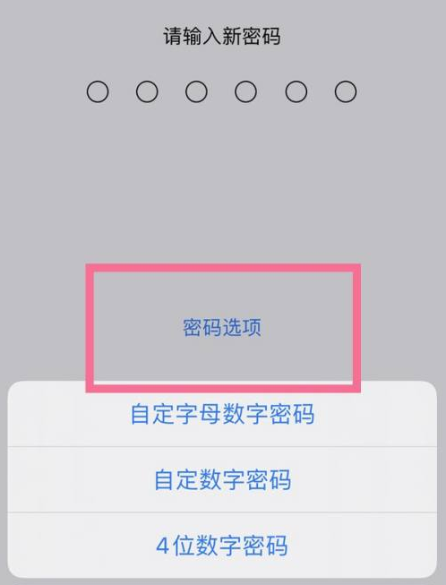 文教镇苹果14维修分享iPhone 14plus设置密码的方法 