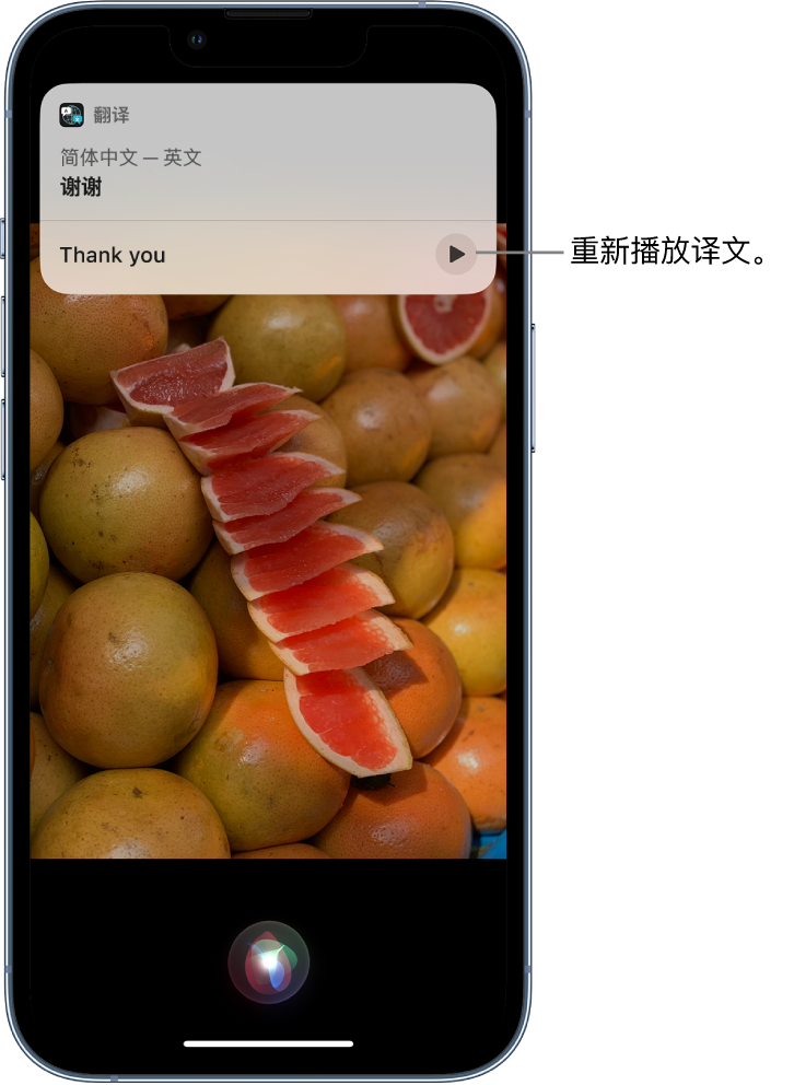 文教镇苹果14维修分享 iPhone 14 机型中使用 Siri：了解 Siri 能帮你做什么 